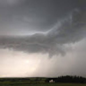 Meet your Posher, Meghan